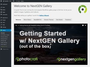 Image Galleries NextGen Started